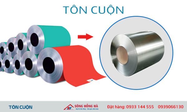 ton cuon ma kem hoa sen